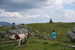 Turistične bone bi lahko začeli uporabljati konec junija; državo bodo stali 345 milijonov evrov