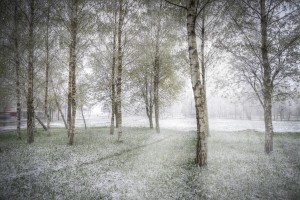 Prebudili smo se v pasje mrzlo oktobrsko jutro: temperature marsikje pod ničlo