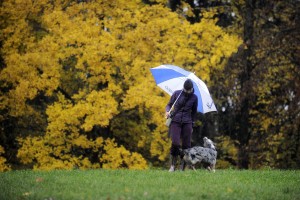 Vreme: V nedeljo rahel dež in nižje temperature