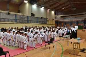FOTO: Novomeški in črnomaljski karateisti skupaj uspešni na tekmovanju