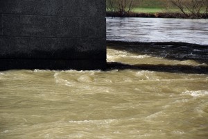 Iz Save potegnili truplo od novembra pogrešanega Damjana Končnika