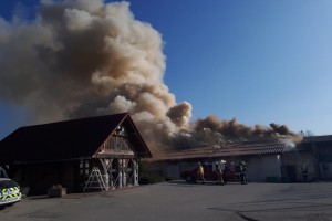 AVDIO: Krka ob enih - Koliko škode je povzročil požar na Sevnem?