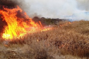 Velika požarna ogroženost velja le še za nekatere občine