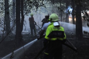 Slovenija gori: gasilci v enem dnevu gasili kar 30 požarov v naravi
