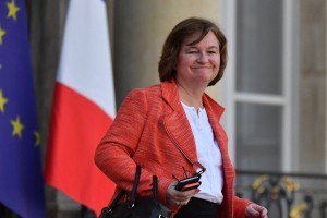 Francoska ministrica brexit primerjala z muhavostjo mačke