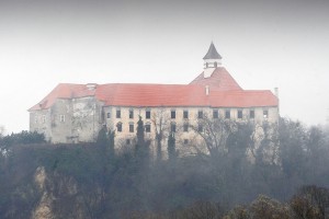 Mogočni grad Borl naj bi dočakal lepše čase