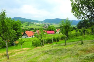 Temna stran Vitomila Zupana: Razvratnež in sodelavec Udbe