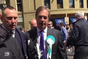 Nigel Farage sredi kampanje polit z mlečnim napitkom (VIDEO)