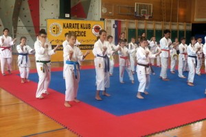 FOTO: Svečan zaključek sezone Karate kluba Brežice