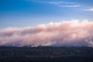 Severna Nemčija v plamenih: ogromen gozdni požar v beg pognal na stotine ljudi