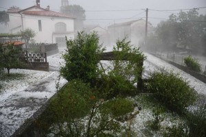 Na Krasu toča skoraj popolnoma uničila pridelek v vinogradih in na vrtovih