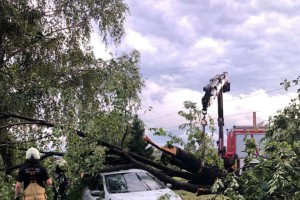 Posledice neurij: poplavljene kleti, podrta drevesa