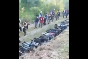 Policija pri Ilirski Bistrici odkrila tabor z okoli 200 migranti; vso noč so jih lovili (VIDEO)