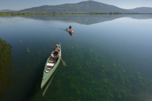 V deželi, kjer srečamo medveda in slišimo volkove