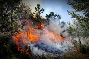 Med Ajdovščino in Colom je zagorelo, požar je celo zaprl cesto