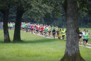 Okoli 2000 obiskovalcev podprlo dober namen 8. Triglav teka
