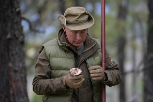 Kako kagebejevec Putin nabira gobe? Ko eno najde, jo zasliši, da mu izda še ostale (VIDEO)