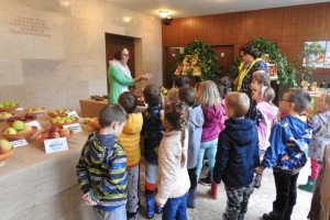 Pester program na Dnevih zeliščarstva in razstavi sadja, zelišč in medenih izdelkov
