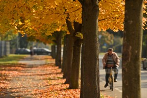 Letos smo imeli drugi najbolj topel november v zadnjih 140 letih