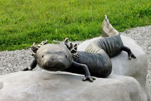 SKN (avdio): Od skulpture črne človeške ribice do Lanšpreža
