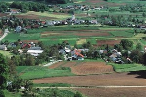 Občina Mirna Peč o zaščitnih maskah, nadzoru gibanja in možni pomoči
