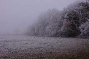 Prava zima pokazala ledene zobe: temperature danes zjutraj že minus 19 °C!