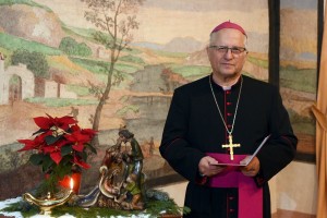 AVDIO: Pogovor o božiču z novomeškim škofom