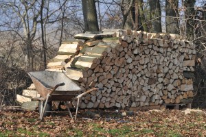 drva, kurjava, simbol