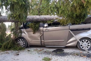 Divjanje vetra: odkrita kranjska gimnazija, v Novem mestu drevo padlo na avto