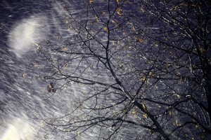 Arso svari pred močnim vetrom na Štajerskem in v Pomurju