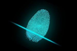 DZ izglasoval poznejše uvajanje biometričnih osebnih izkaznic