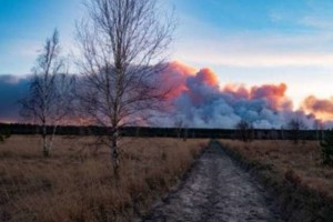 Dim požara pri Černobilu prineslo nad Kijev: Ostanite doma in pijte veliko tekočine, svetujejo oblasti