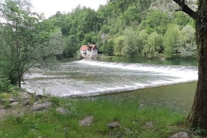 SOS za vode: Kolpa še vedno ena najčistejših rek, je pa treba ukrepati