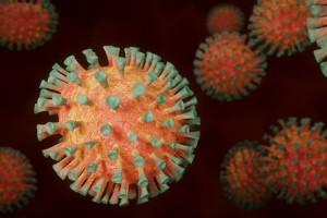 Okužba s koronavirusom tudi v Istri, dve okužbi na Krku