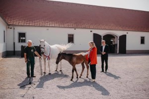 Ameriška veleposlanica postala botra žrebičke