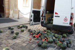 Hrvaški poslanec pred Banske dvore stresel kup lubenic, Andrej Plenković se počuti ogroženega (VIDEO)