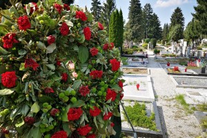 Na ljubljanskih Žalah se pogrebci požvižgajo na koronske ukrepe: brez mask in gneča v vežici (FOTO)