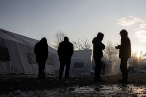 Migranti se zbirajo na poljsko-beloruski meji in hočejo vstopiti v EU