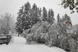 Zima prihaja: ponekod bo zapadlo do 20 centimetrov snega