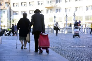 Karkoli koalicija sprejme, poskuša SDS zrušiti z referendumom