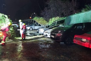 Pogleje, kako silovito se je neurje zneslo nad Izolo: drevo podrlo garaže in zmečkalo avtomobile (FOTO)