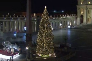 Poglejte, kako so v Vatikanu osvetlili "veličastno" in "ofucano" slovensko smreko (VIDEO)