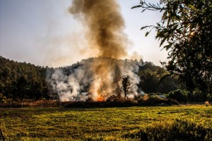Zaradi suše nevarnost požarov v naravi