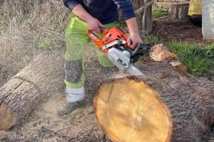 V Sevnici o boljši oskrbi z domačo hlodovino