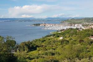 Ščepec našega morja, obale in Istre