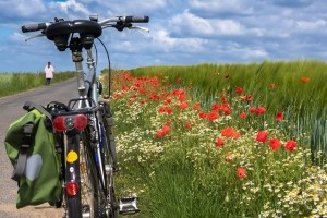 Evropski denar za kolesarsko povezavo Trebnje Mirna Mokronog