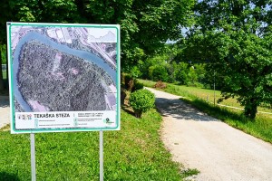 V gozdu Portoval bo urejena nova pot za pešce in kolesarje