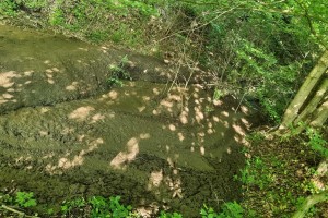 Poglejte to svinjarijo, ki se je zgodila v Hočah: brezobzirneži kar v potok izpraznili greznico (FOTO)