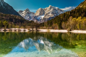 V Kranjski Gori bi se šli gozdni turizem