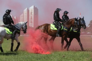 Dan s štirinožnimi policisti: en policist na konju zaleže za deset "navadnih"